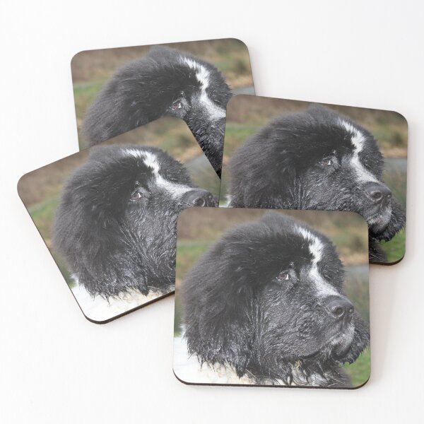 Item preview, Newfoundland puppie designed and sold by Duane Evans.