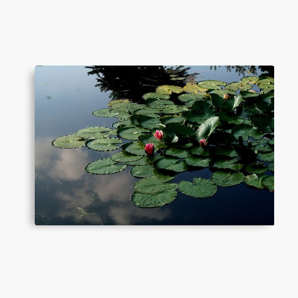 Waterscape 9 Canvas Print