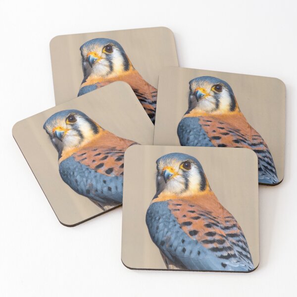 Item preview, American Kestrel designed and sold by May Finch.