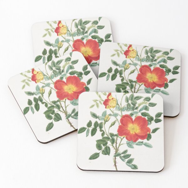 Item preview, Roses designed and sold by Spicy-Garden.