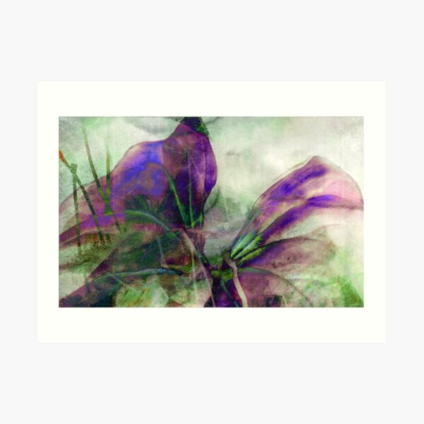 Expanding Art Print