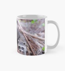 Baby Raccoons Mug