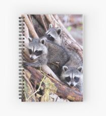 Baby Raccoons Spiral Notebook