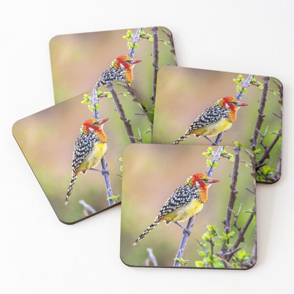 Item preview, Colorful bird - Male Red and Yellow Barbet designed and sold by Jensphotos.
