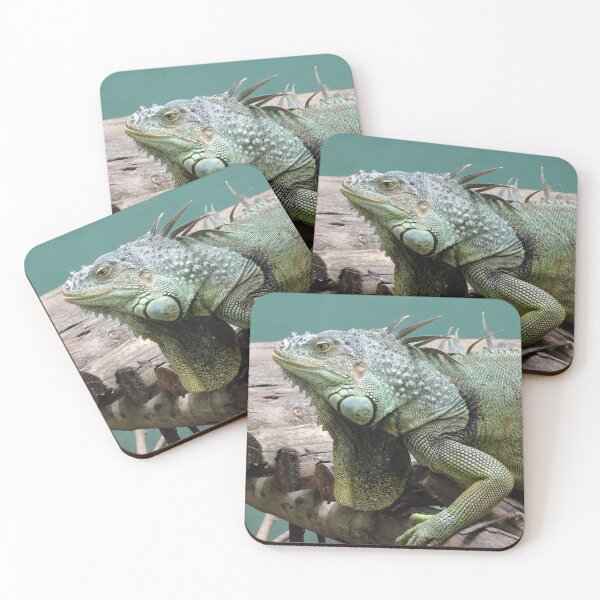 Item preview, Iggy Iguana at a Thailand santuary designed and sold by cuisinecat2.