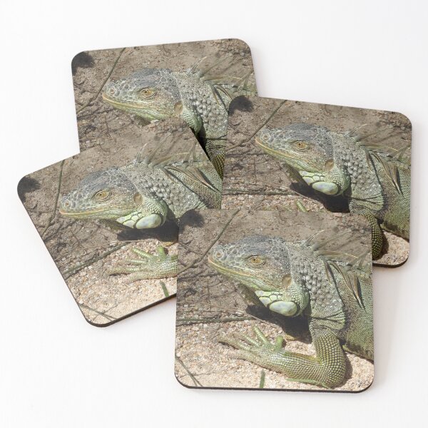 Item preview, Relaxing Iguana at a sanctuary in Thailand designed and sold by cuisinecat2.