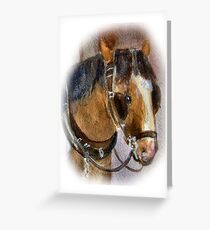 Brown Horse Grußkarte