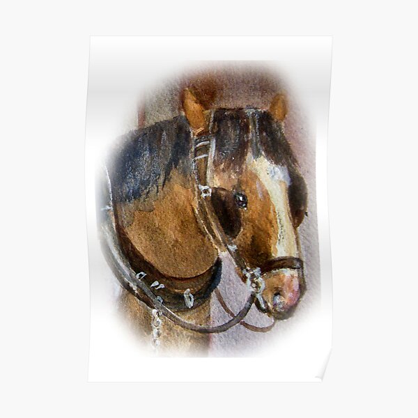 Brown Horse Poster