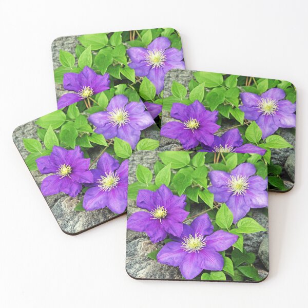 Item preview, Purple Clematis On The Rocks designed and sold by Deb Oppermann.