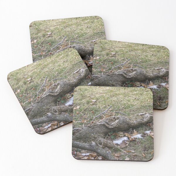 Item preview, Roots have Surfaced designed and sold by SRosuphotos.