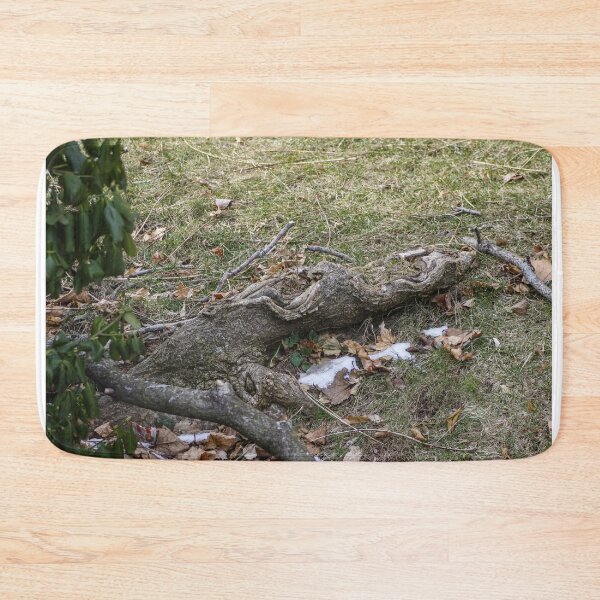Item preview, Roots have Surfaced designed and sold by SRosuphotos.