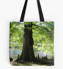 Trees Knees Tote Bag