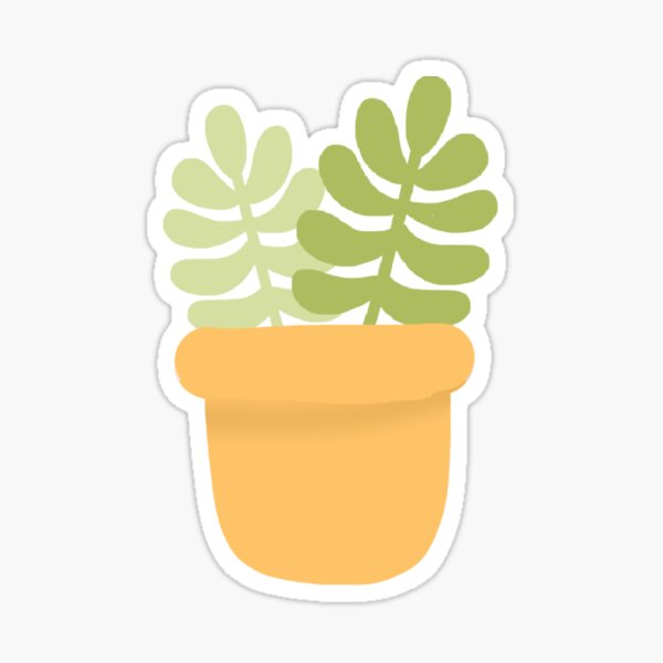Cute Potted Succulent \