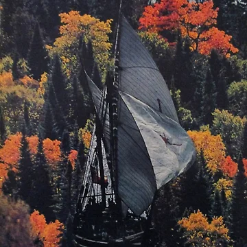 Artwork thumbnail, SAIL AWAY by RICOLLAGE