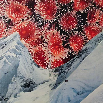 Vorschaubild zum Design HIKE von RICOLLAGE