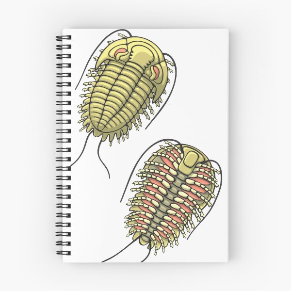 Item preview, Colored Trilobite Illustration designed and sold by taylorcustom.