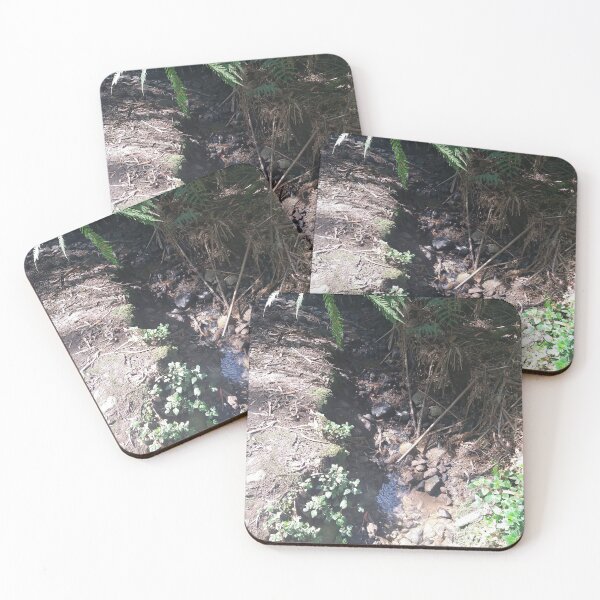 Item preview, Australian Rainforest designed and sold by Nigelseanberry.