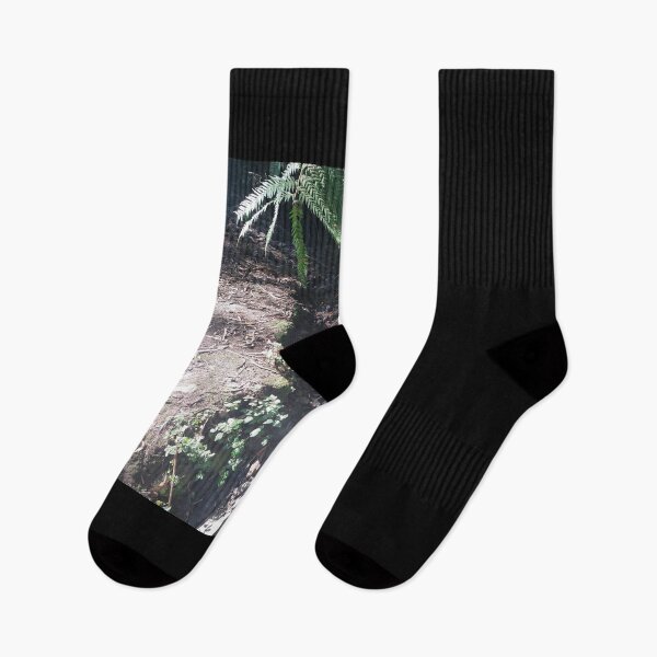 Item preview, Australian Rainforest designed and sold by Nigelseanberry.