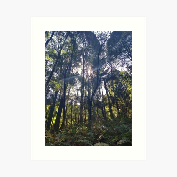 Item preview, Australian Rainforest 3 designed and sold by Nigelseanberry.