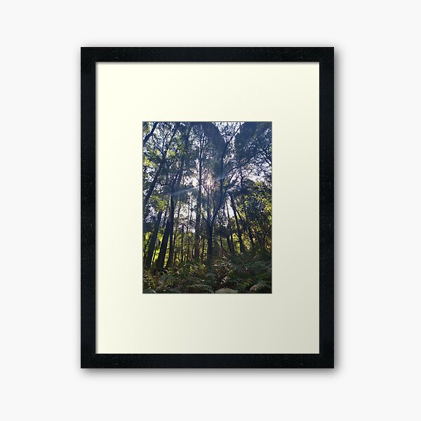 Item preview, Australian Rainforest 3 designed and sold by Nigelseanberry.