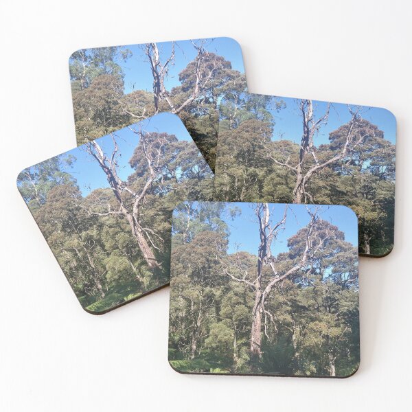 Item preview, Australian Rainforest 11 designed and sold by Nigelseanberry.