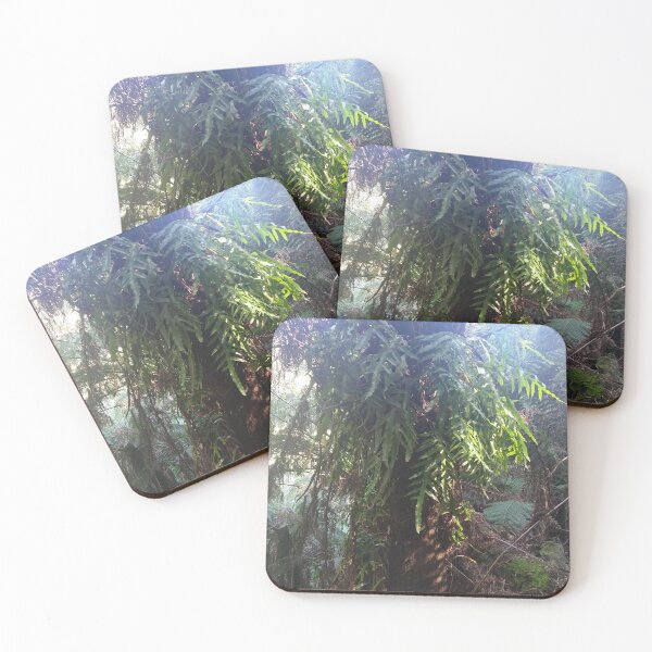 Item preview, Australian Rainforest 13 designed and sold by Nigelseanberry.