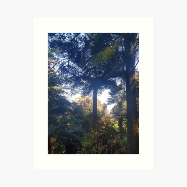 Item preview, Australian Rainforest 16 designed and sold by Nigelseanberry.
