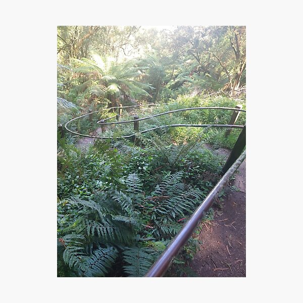 Item preview, Australian Rainforest 17 designed and sold by Nigelseanberry.