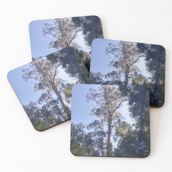 Item preview, Australian Rainforest 21 designed and sold by Nigelseanberry.