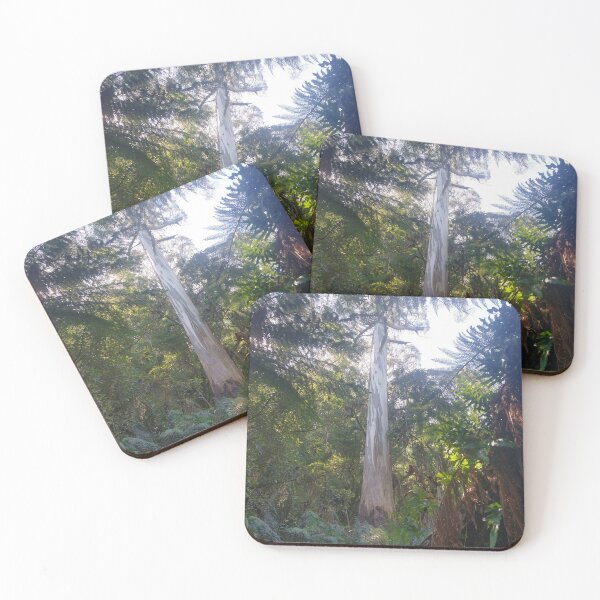 Item preview, Australian Rainforest 26 designed and sold by Nigelseanberry.