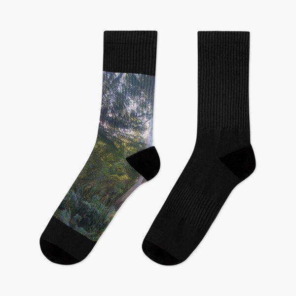 Item preview, Australian Rainforest 26 designed and sold by Nigelseanberry.