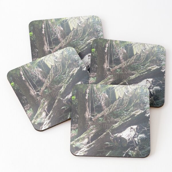 Item preview, Australian Rainforest 27 designed and sold by Nigelseanberry.