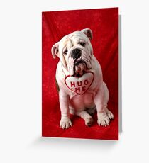 English Bulldog puppy hug me Greeting Card