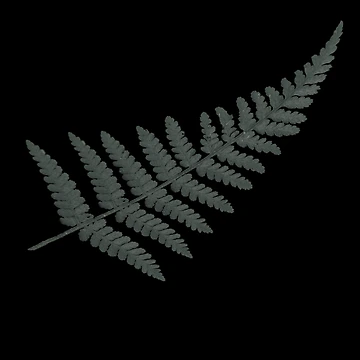 Artwork thumbnail, Silver Fern by InnerReaper