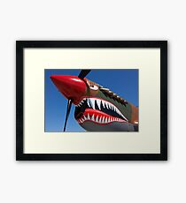 Flying tiger plane Framed Print