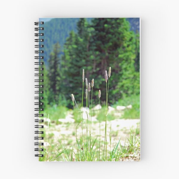 Item preview, Berthoud Pass Tall Grass  designed and sold by Robert Meyers-Lussier.