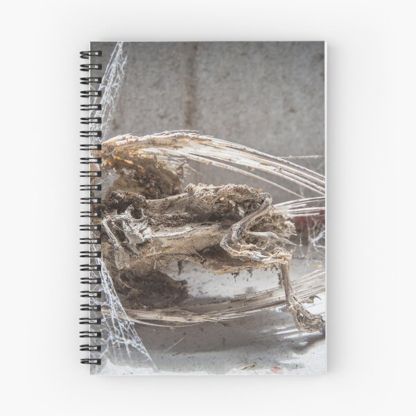 Item preview, Skeleton designed and sold by Steve Chapple.