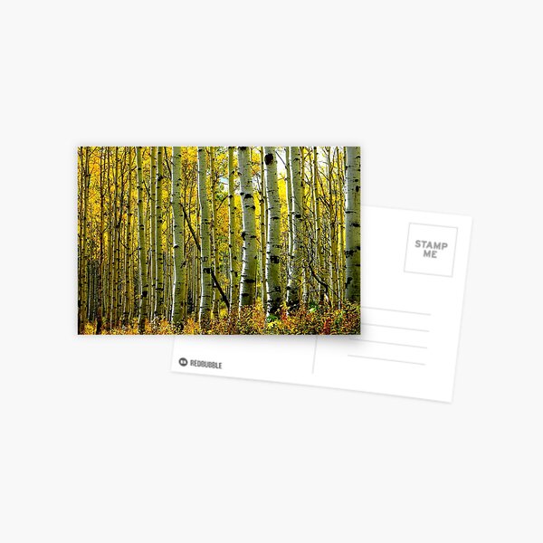 Item preview, Aspens in Fall designed and sold by JoAnn Glennie.