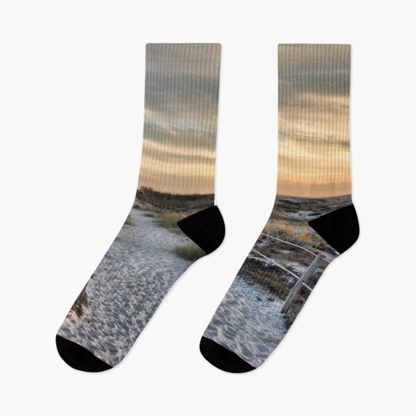 Item preview, Late Day Light designed and sold by Marie Palcic.