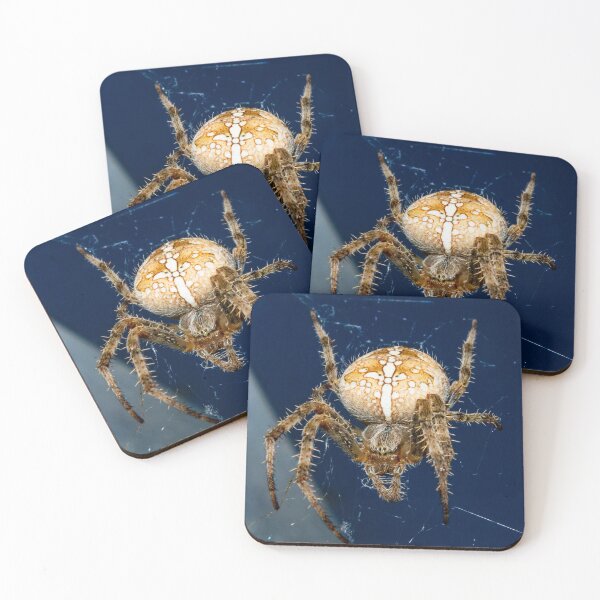 Item preview, Spider designed and sold by JMKphotos.