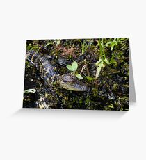 Reptilia Greeting Card