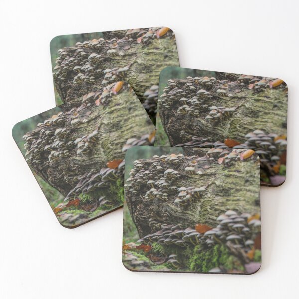 Item preview, A natural highrise designed and sold by JMKphotos.