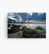 Coolangatta green and gold Canvas Print