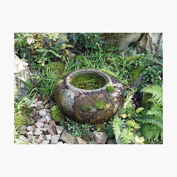 Item preview, Moss covered pot in a Japanese garden designed and sold by cuisinecat2.