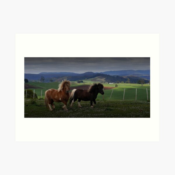 Two Ponies Art Print