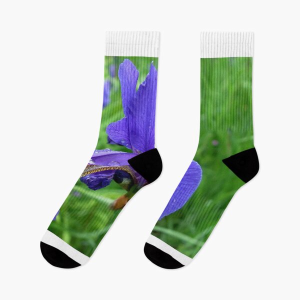 Aperçu de l'œuvre Lavender Iris créée et vendue par AnnDixon.