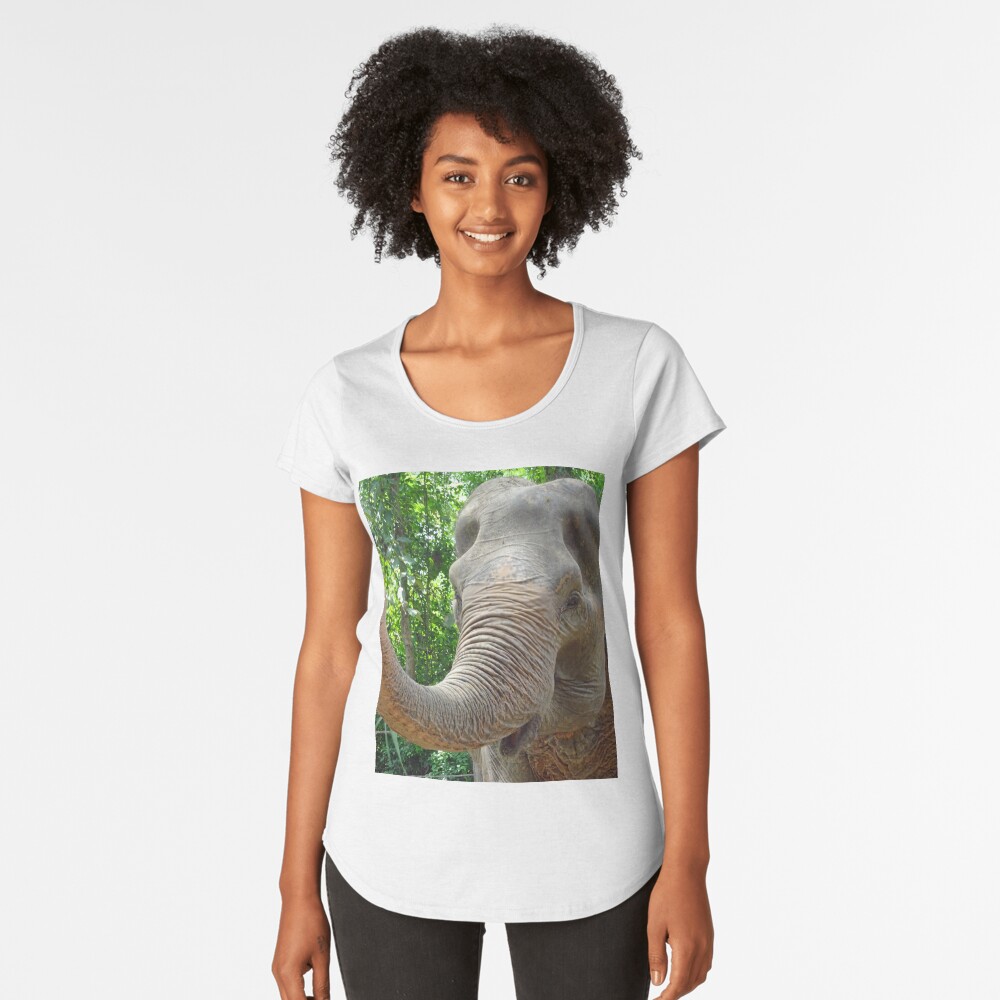 Item preview, Premium Scoop T-Shirt designed and sold by cuisinecat2.