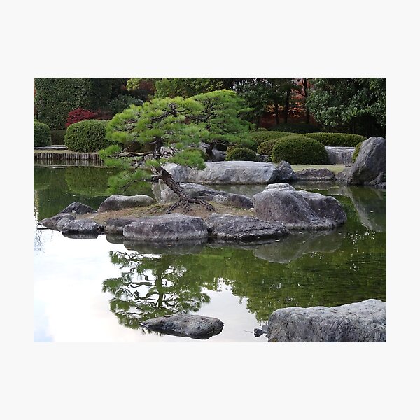 Item preview, Reflections of a tree in a Japanese garden designed and sold by cuisinecat2.
