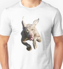 Camiseta unisex Weimaraner