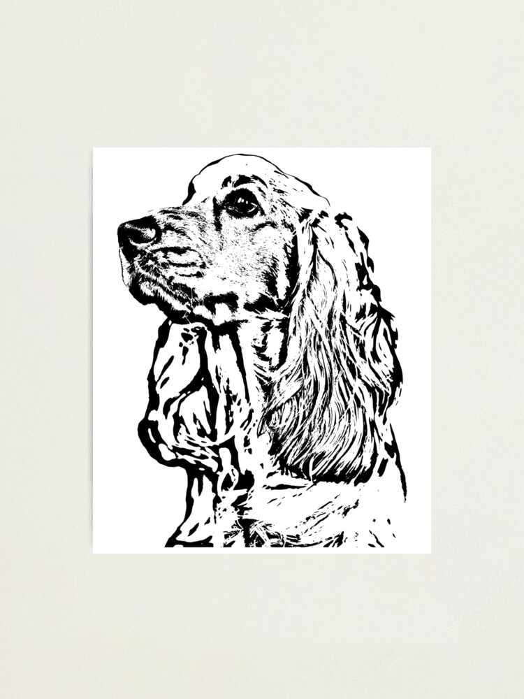 English Cocker Spaniel Gifts for Dog 